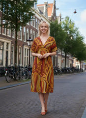 Ame Butterfly Sleeve Draped V-neck Midi Dress