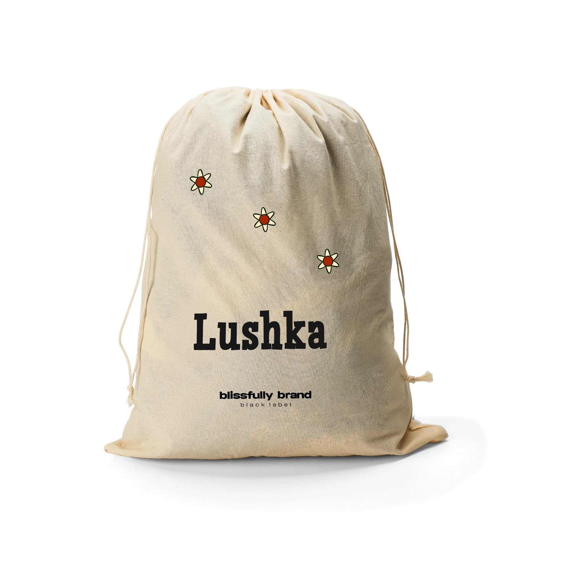 Lushka Box Satchel