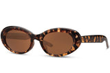 Pulp Tortoise Round Mod Sunglasses - Blissfully Brand - Circle Retro Funky Brown Oval