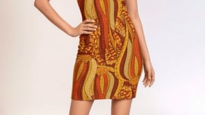 Ame Sleeveless Bodycon Dress