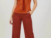 Safrana Series Red Puff Sleeve Pleated Top